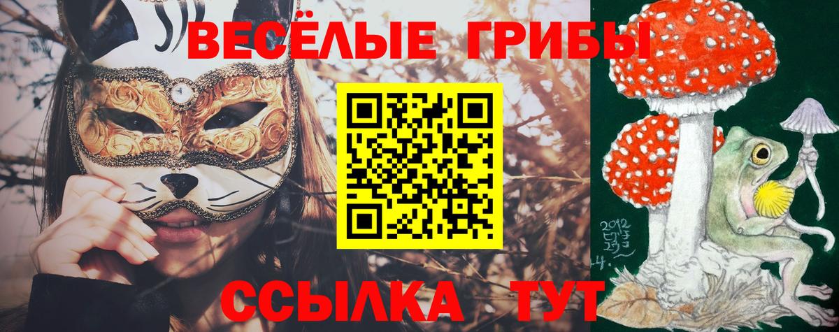 Псилоцибиновые грибы прущие грибы Мариинск