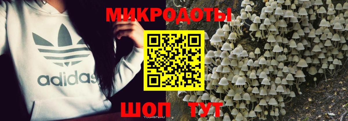 Галлюциногенные грибы мицелий  продажа наркотиков  Вход с VPN  Мариинск  Галлюциногенные грибы MAGIC MUSHROOMS 